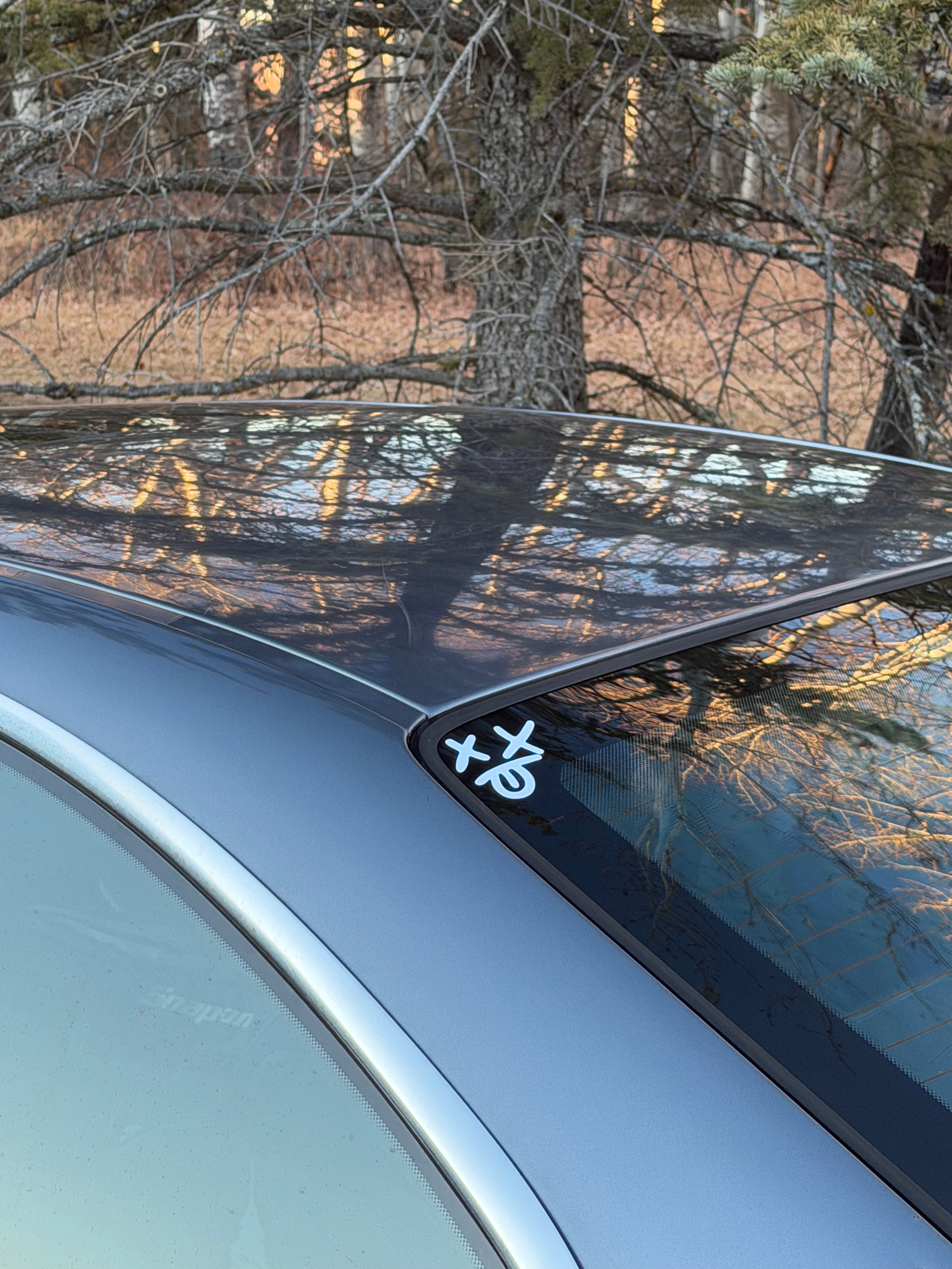 TIDYSUPPLY XXD STICKER