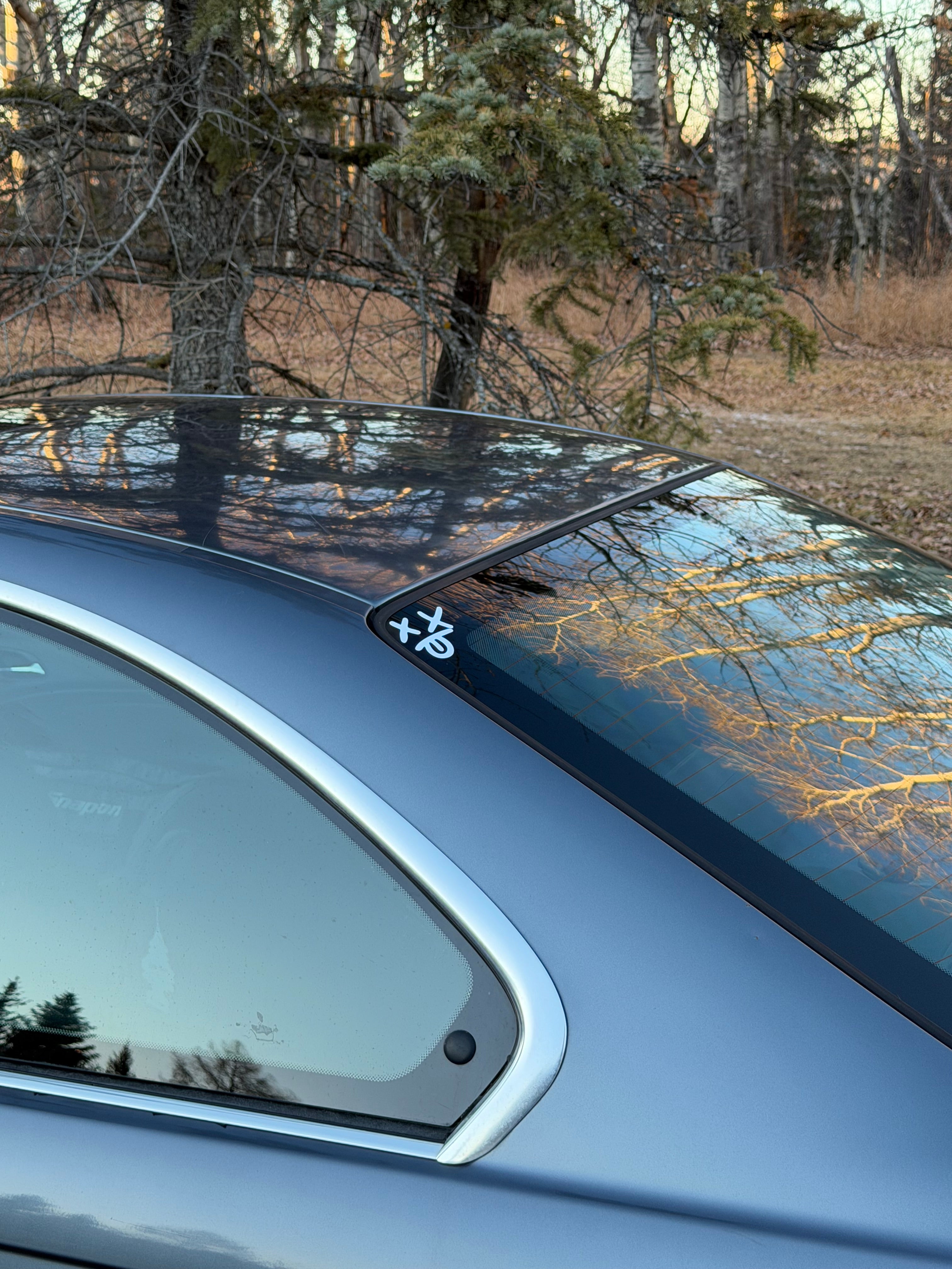 TIDYSUPPLY XXD STICKER